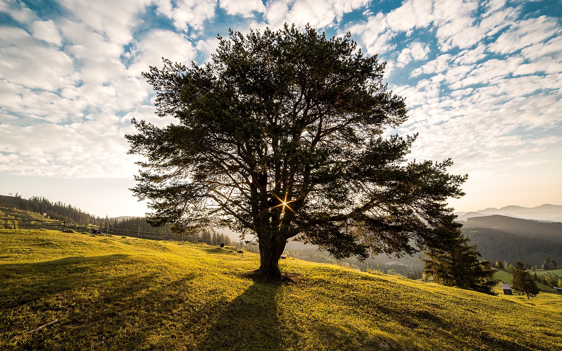 campulung-countryside-dawn-56875