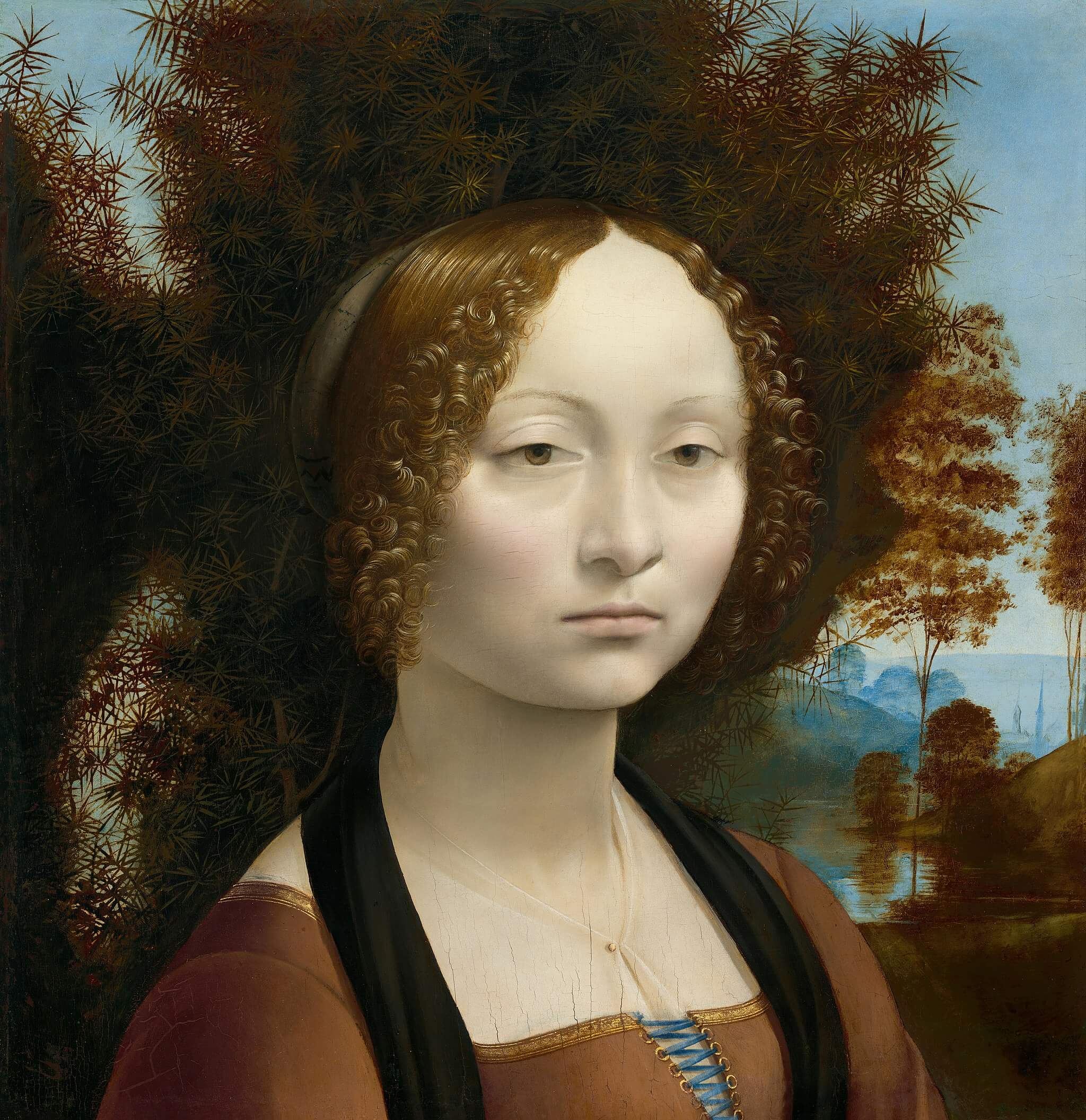 Ginevra de Benci di Leonardo da Vinci non ha nulla a che fare con la moneta ma abbellisce il documento